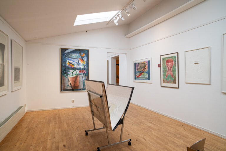 Gösta Werner Museet 10xLatin